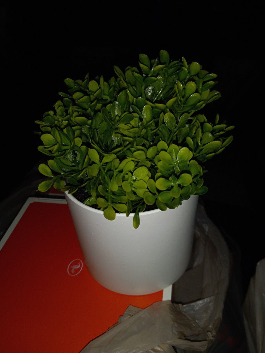 Brand New Artificial  Greenery Plant Great For A Tray Table Etc