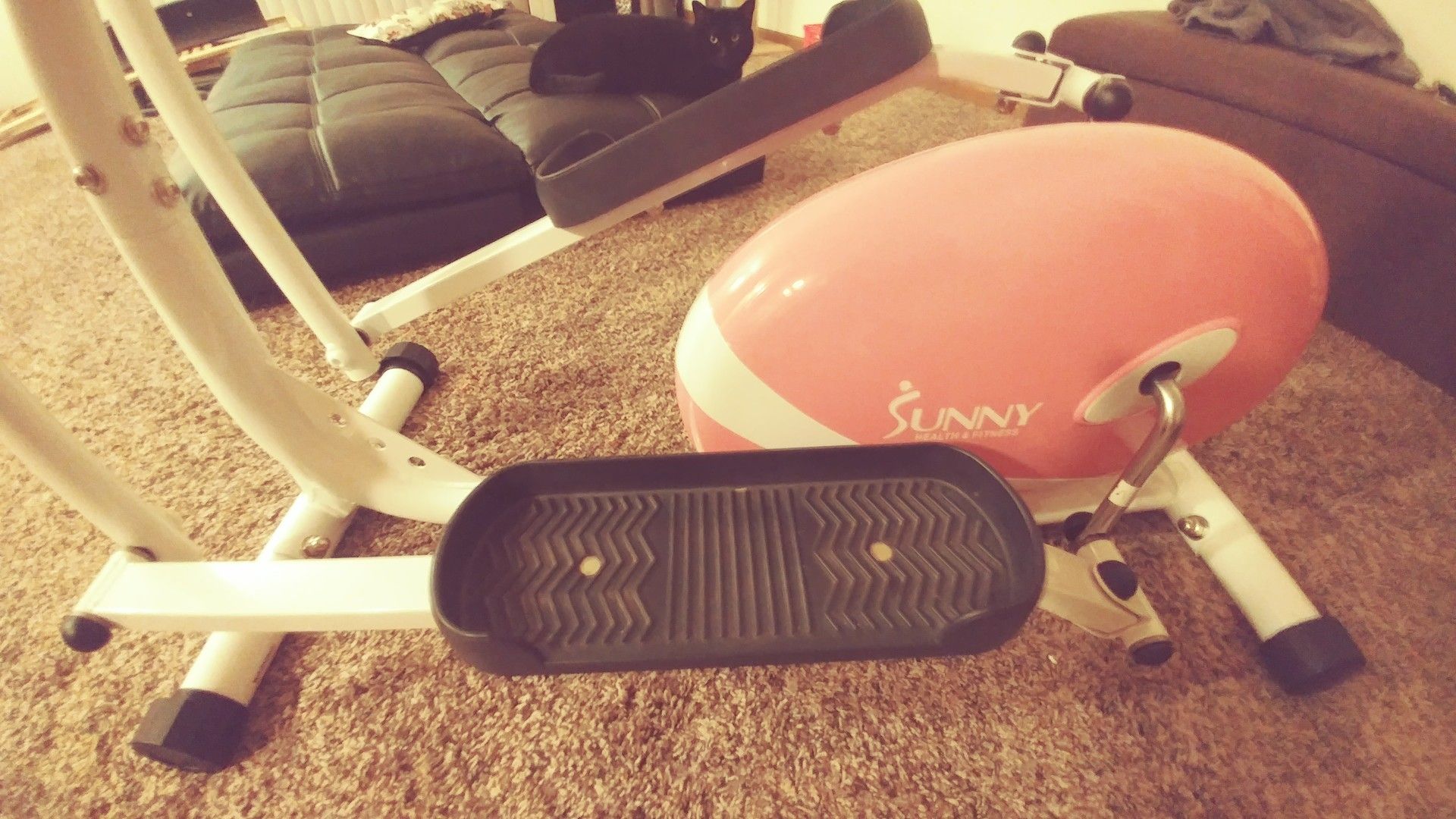Pink Elliptical!! Want gone ASAP.