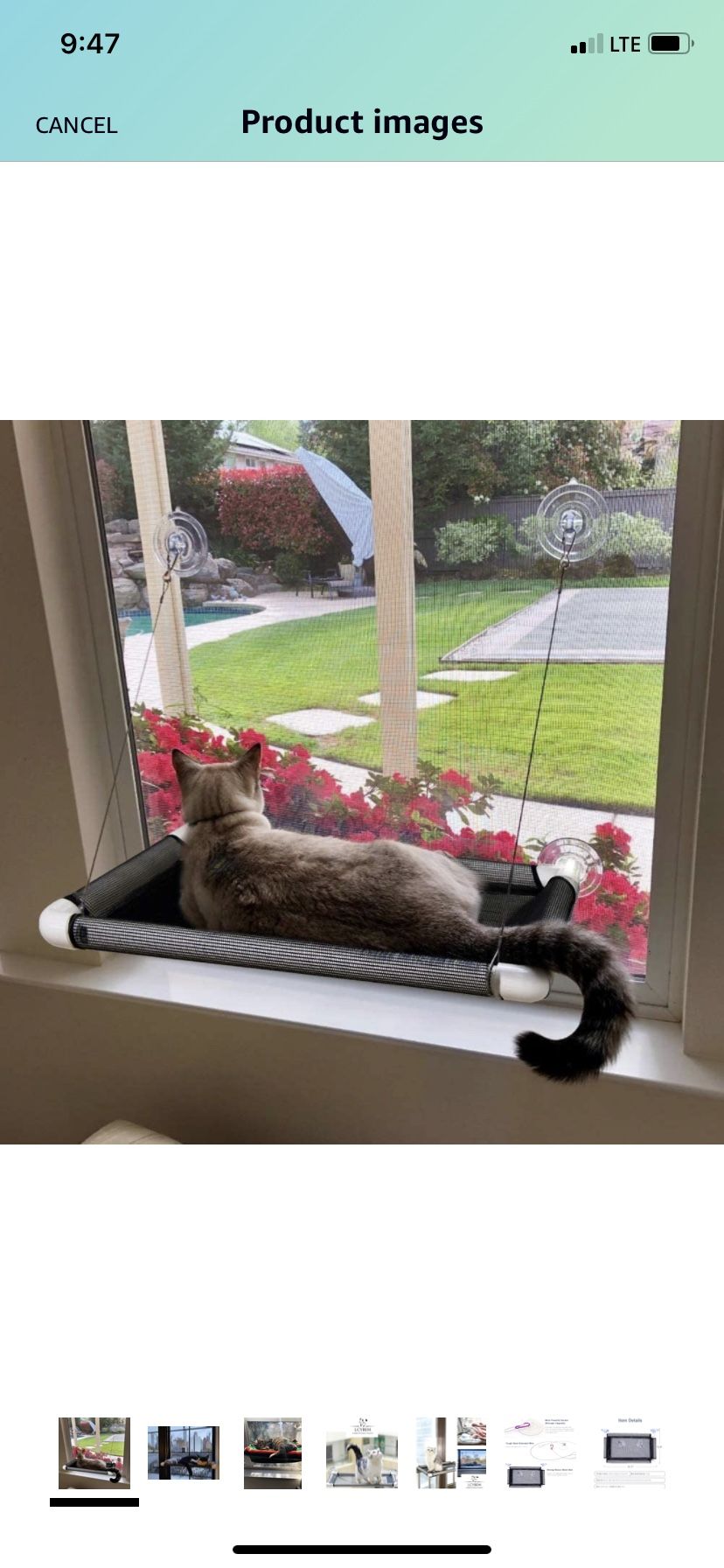 Suction Cup Window Cat Hammock