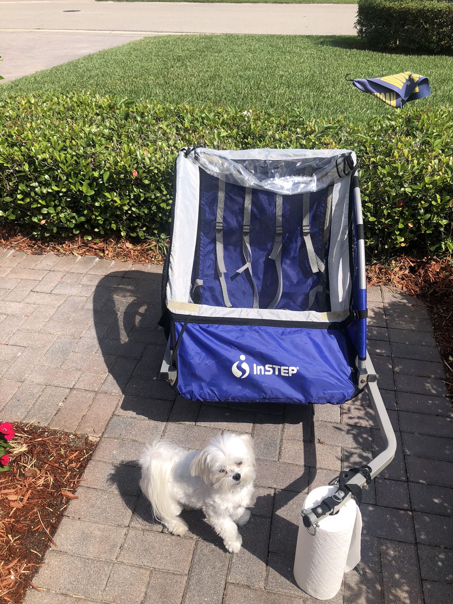 Pull Behind Dog Cart