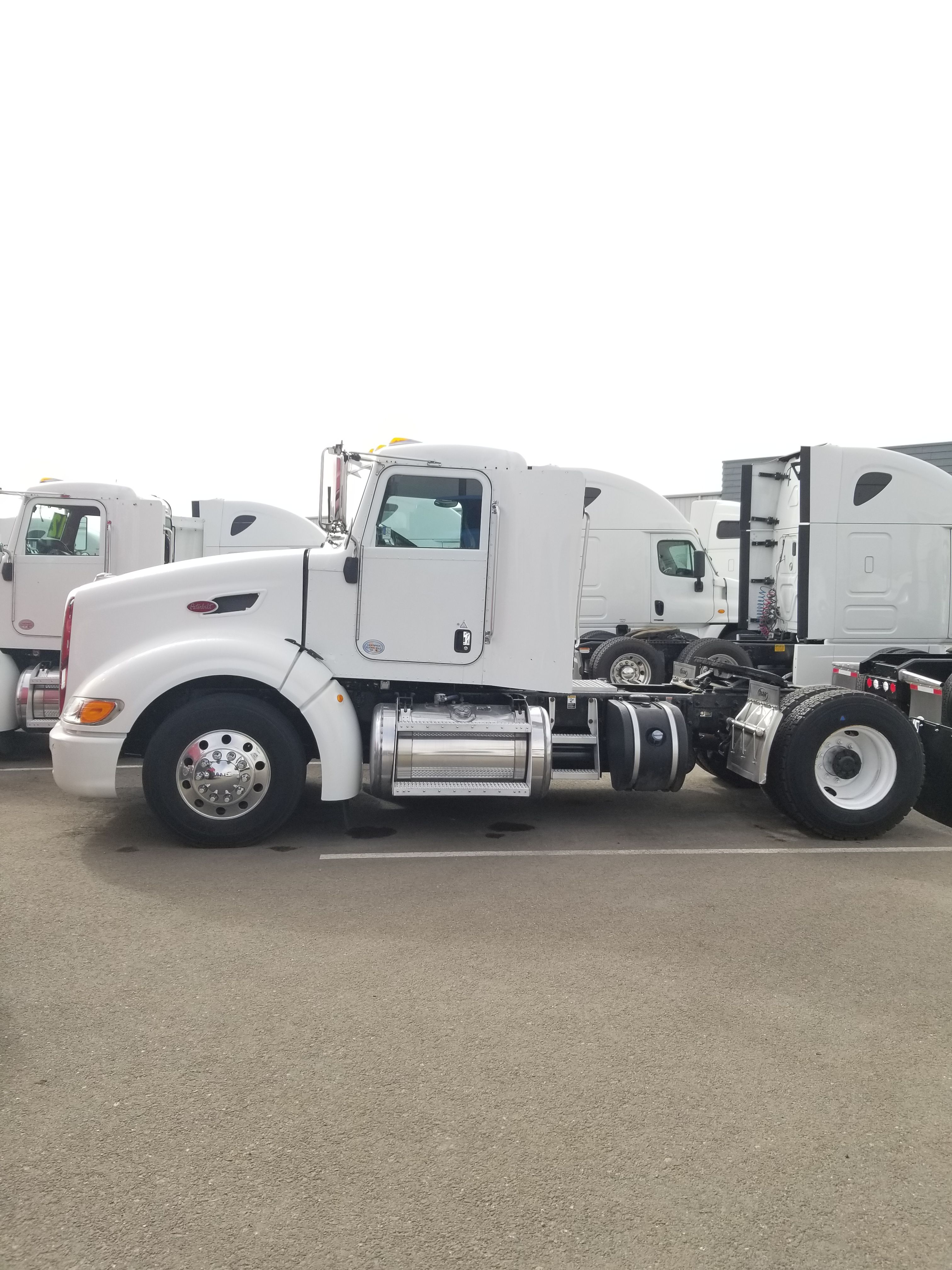 PETERBILT 386 SINGLE AXLE TRUCKS!! for Sale in Lathrop, CA OfferUp