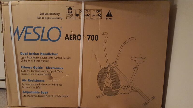 weslo air bike