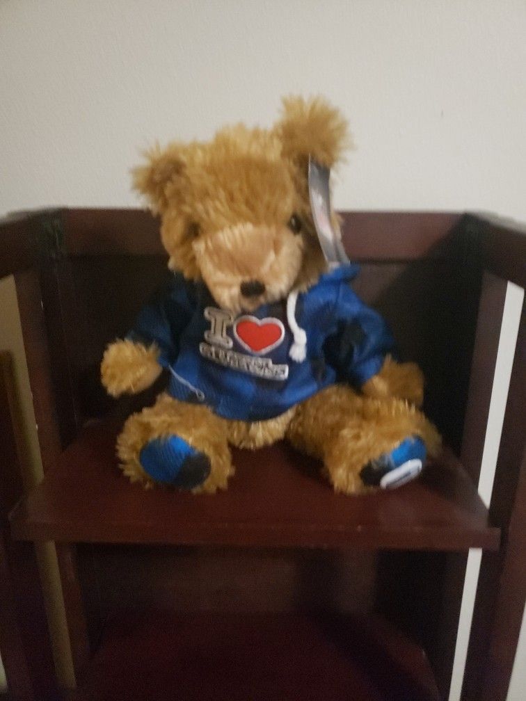 New NFL Seattle Seahawks Teddy Bear