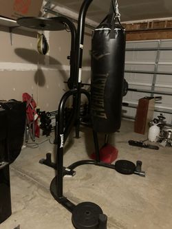 Everlast Punching Bag With Speed Bag Thumbnail