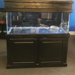 75 gallon Aquarium Fish Tank Complete $500 Thumbnail
