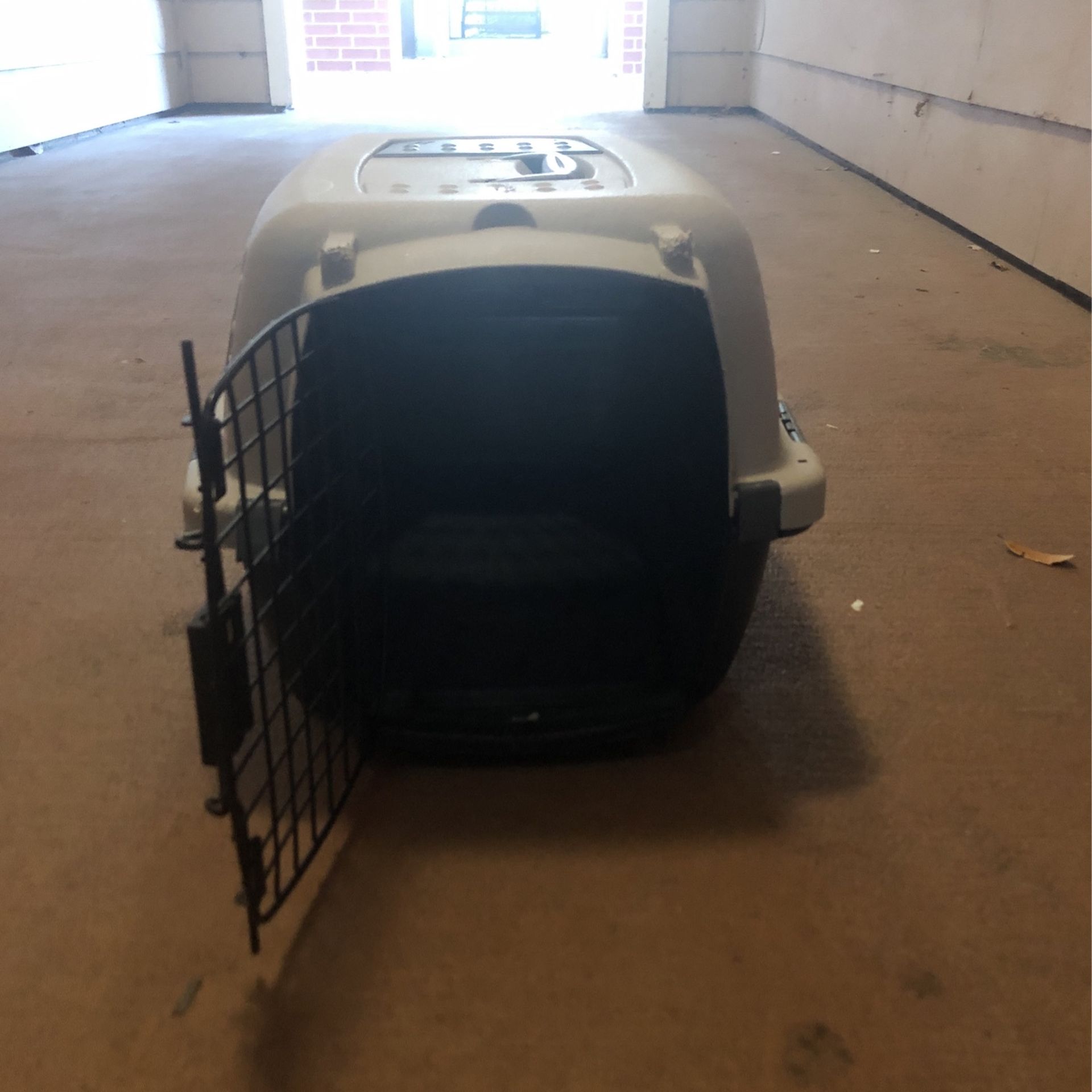 Dog carry On Crate