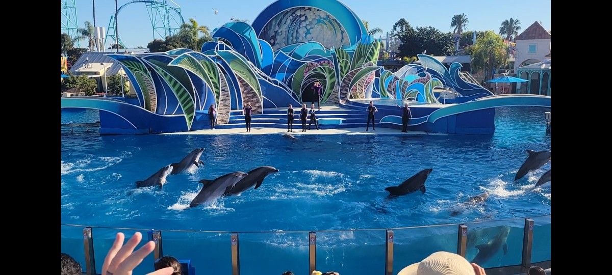 Seaworld Tickets 🎟 $30 Each Just For Today