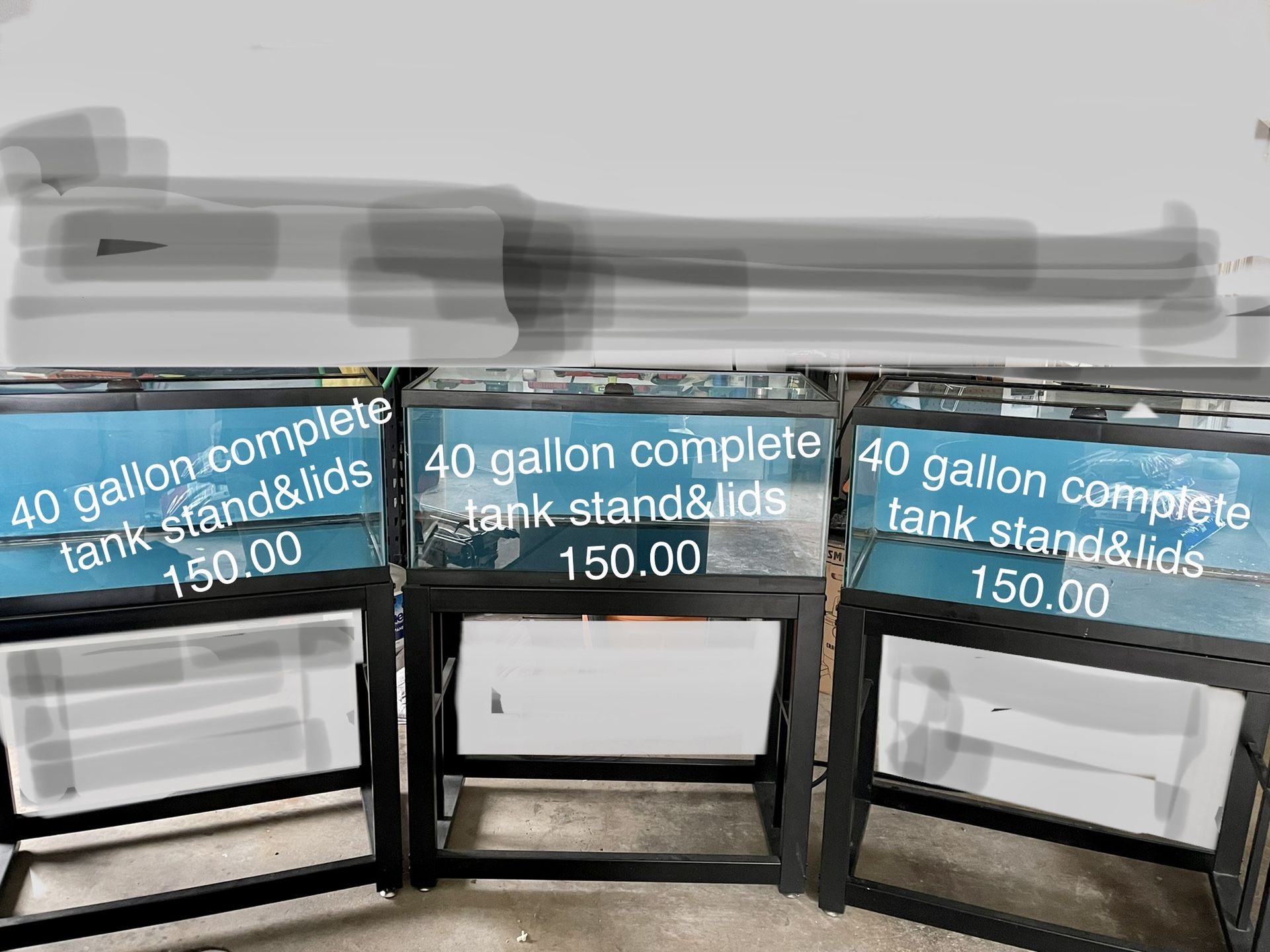 40 Gallon Tank With Self Leveling Metal Stand Lid And Lights