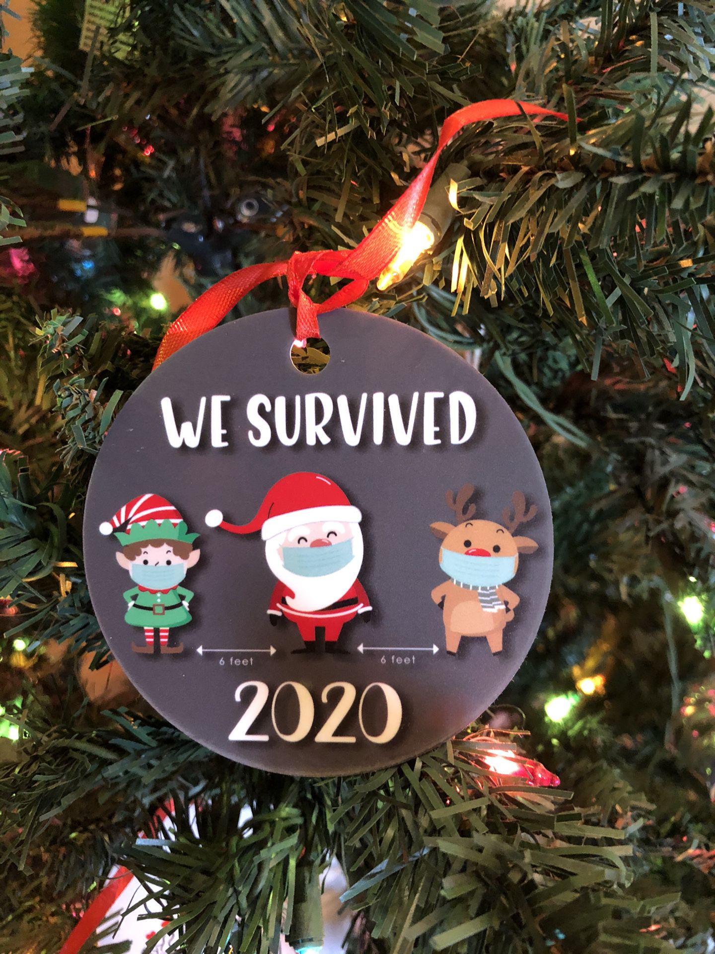5 PCS 2020 Quarantine Christmas Ornaments - My First Christmas Ornament - 2020 Merry Xmas Funny Gift Idea