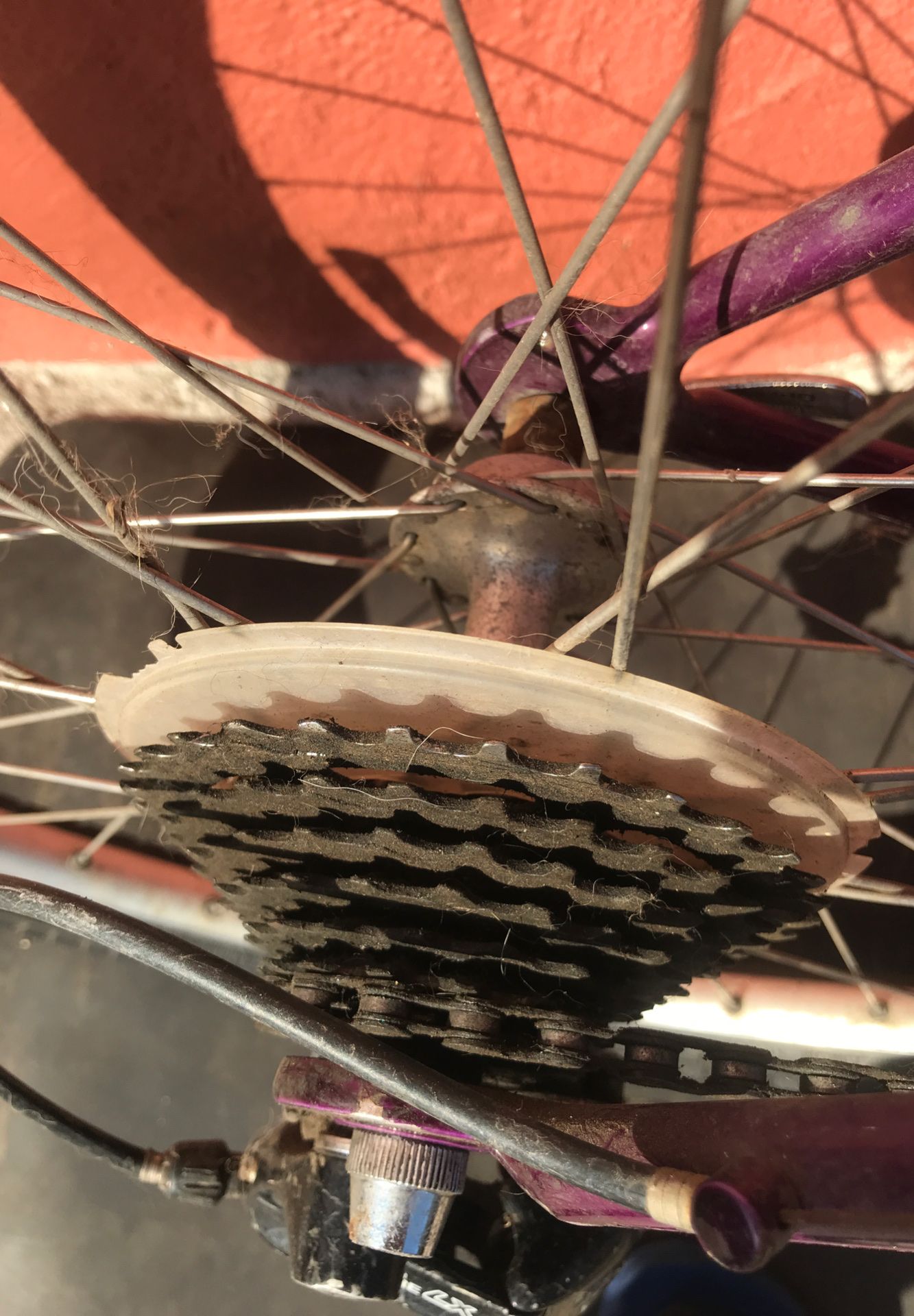 Trek