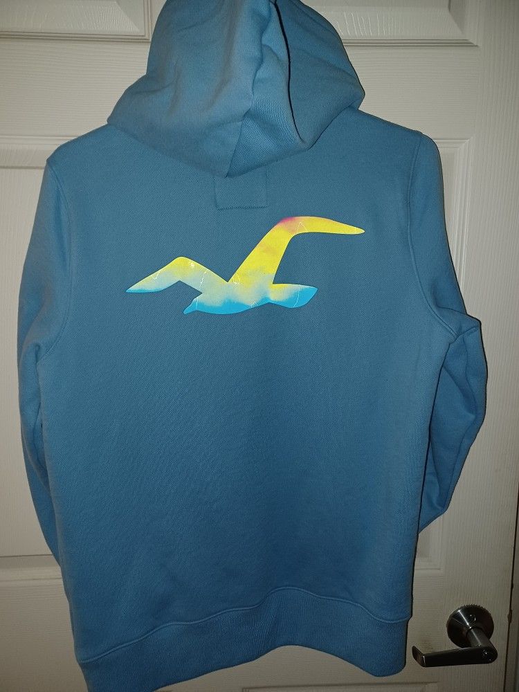 Hollister Hoodie