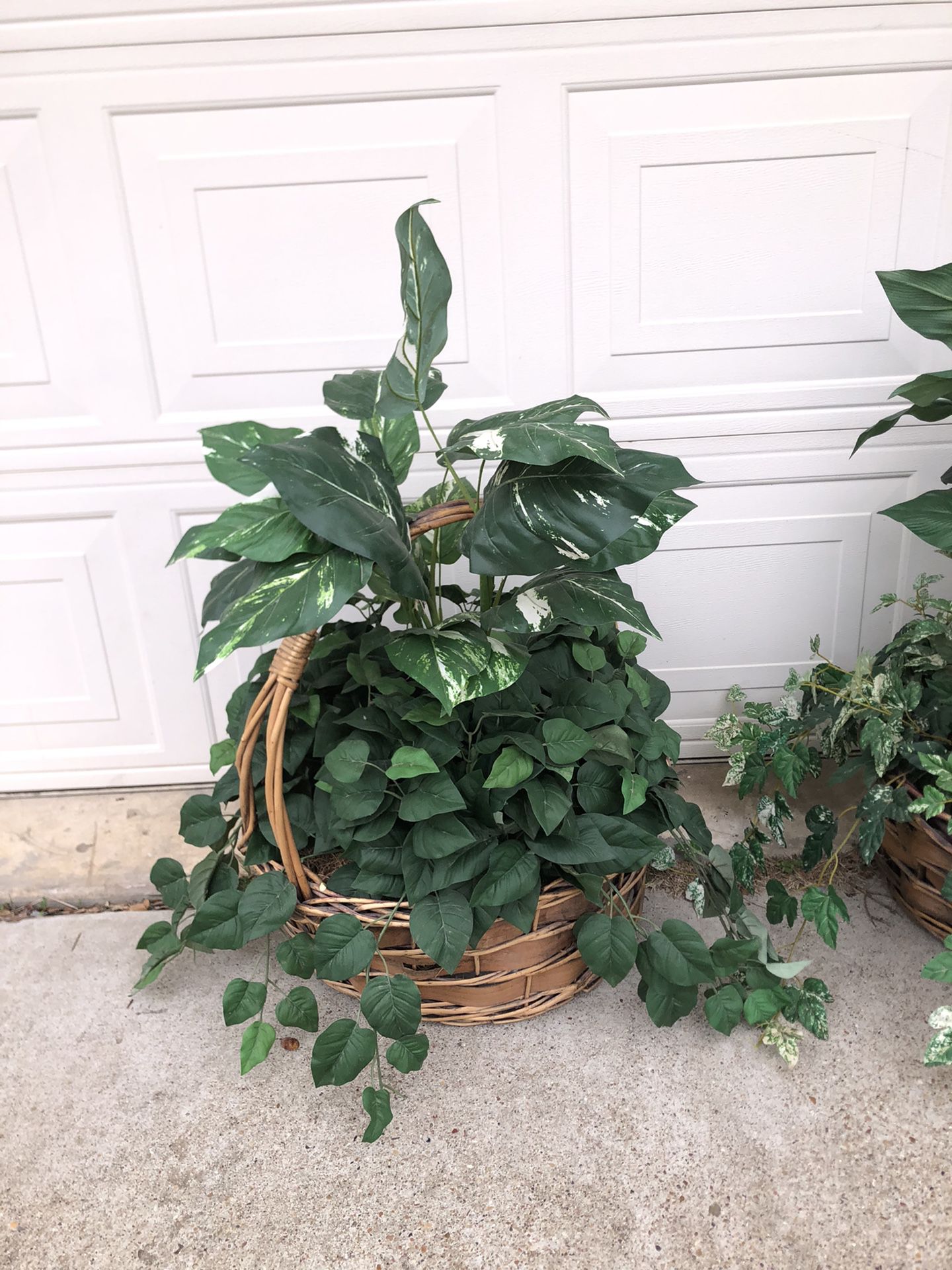 Large greenery baskets
