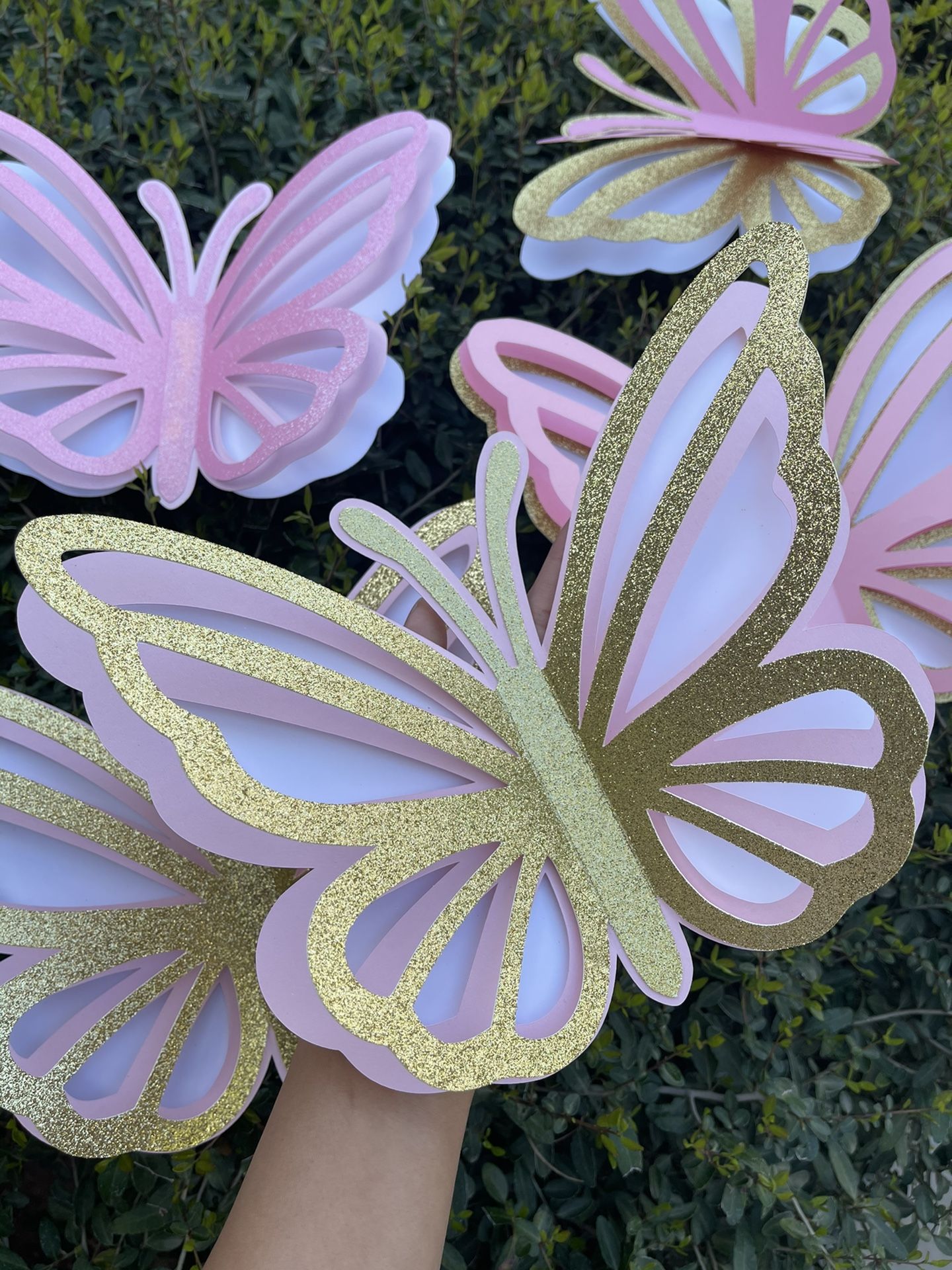 3D Large Butterflies