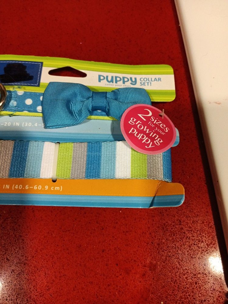 Puppy Collar Set