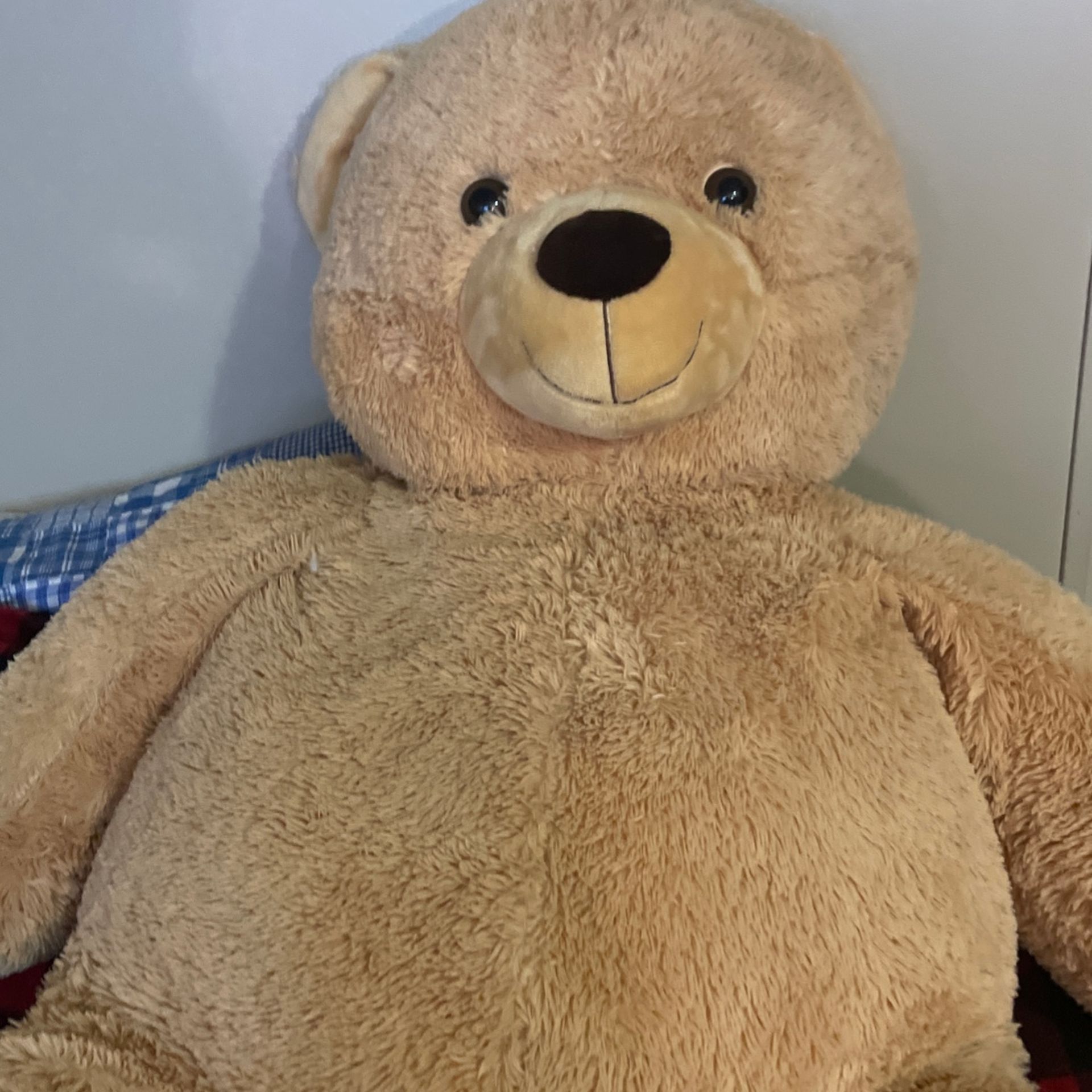 Big Huge Teas Bear