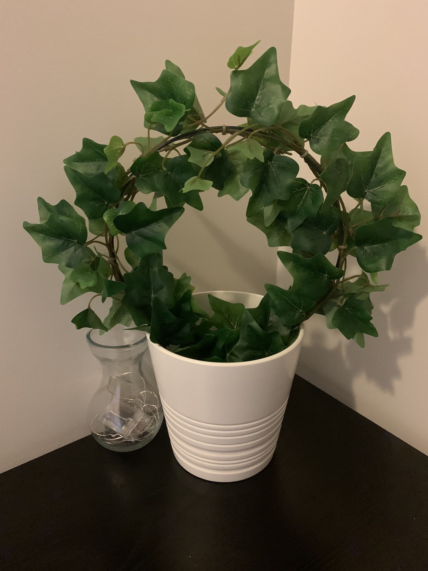 Plant With Pot