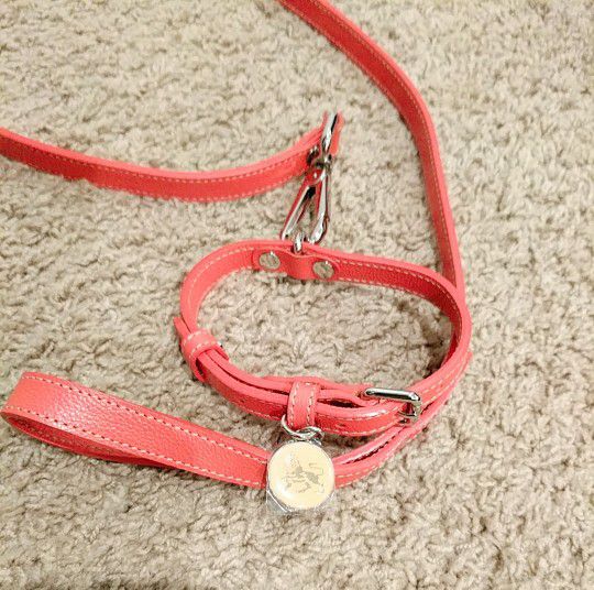 MCM Dog Collar & Leash Set