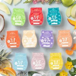 Scentsy Independent Consultant  Thumbnail