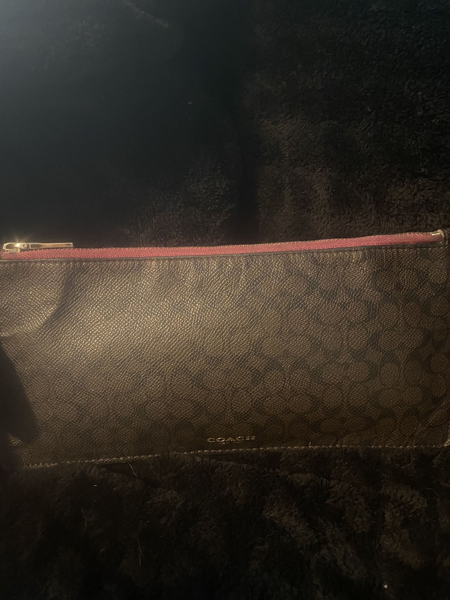 Coach Clutch Bag