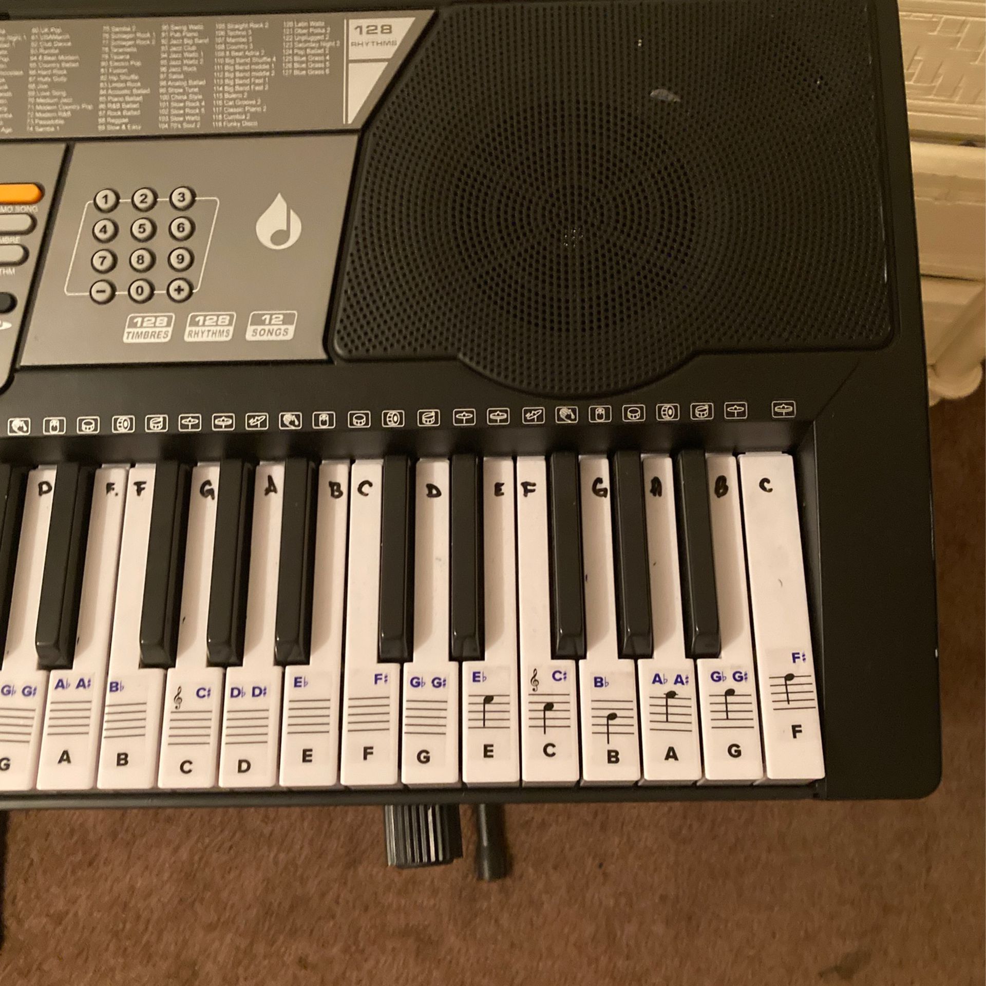 electric Piano for 130 bucks with stand.
