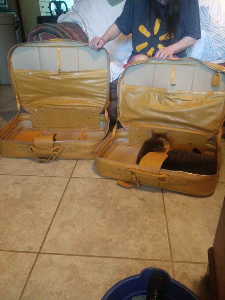 2 Pc Luggage Set. Cat Not Included
