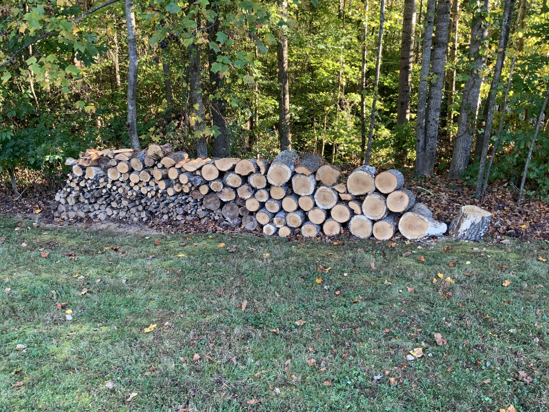 Free Wood