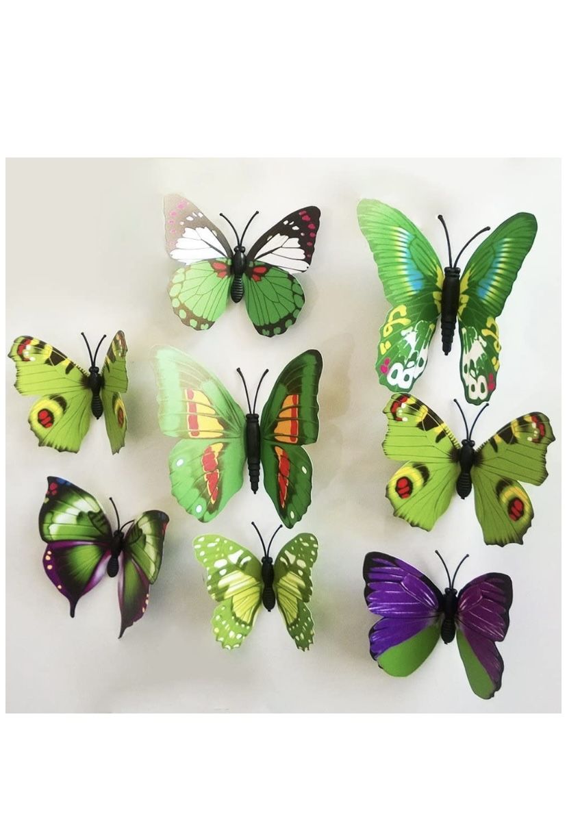 Butterflies 🦋