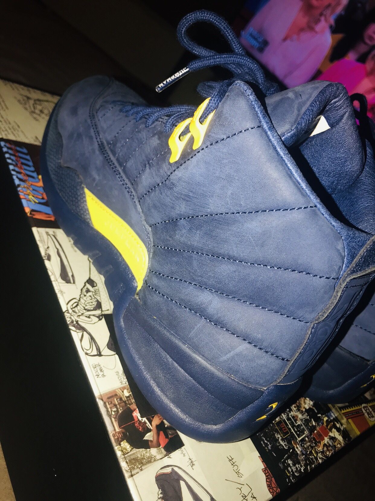 Jordan Michigan 12s