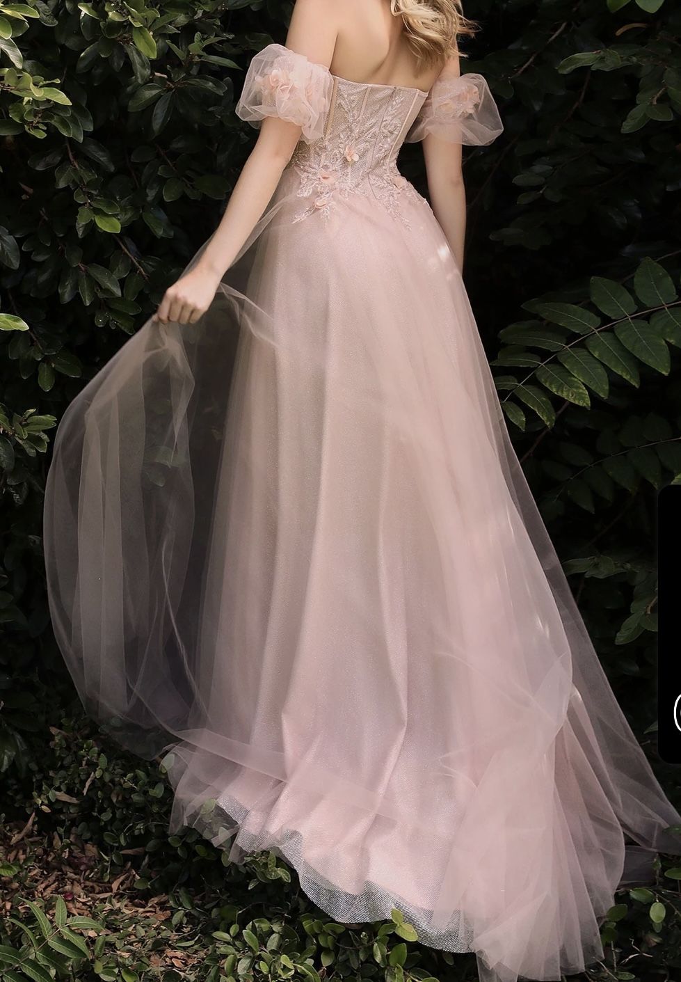 Blush Corset Prom Dress