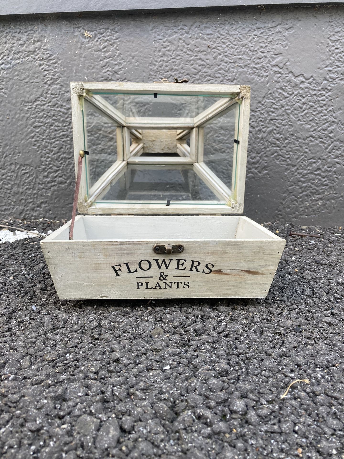 Small Terrarium