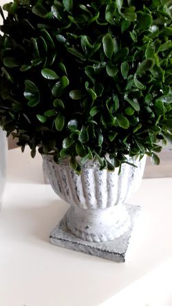 Boxwood Topiary - Check My Page For More Decor  Thumbnail
