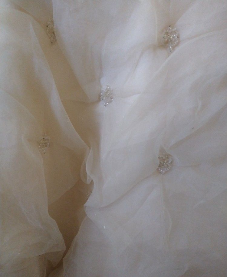 Wedding Dress.