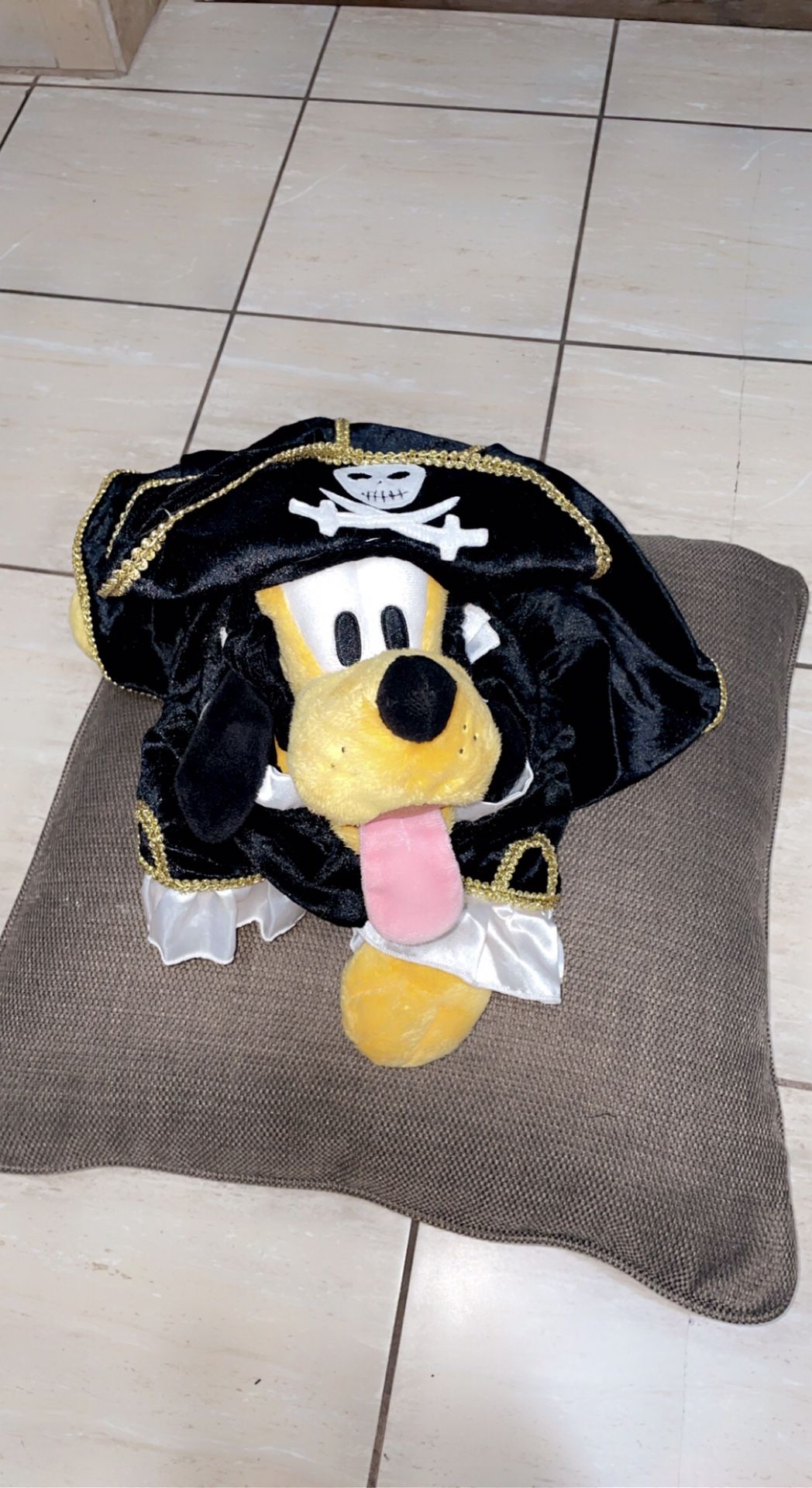Dog Halloween Costume