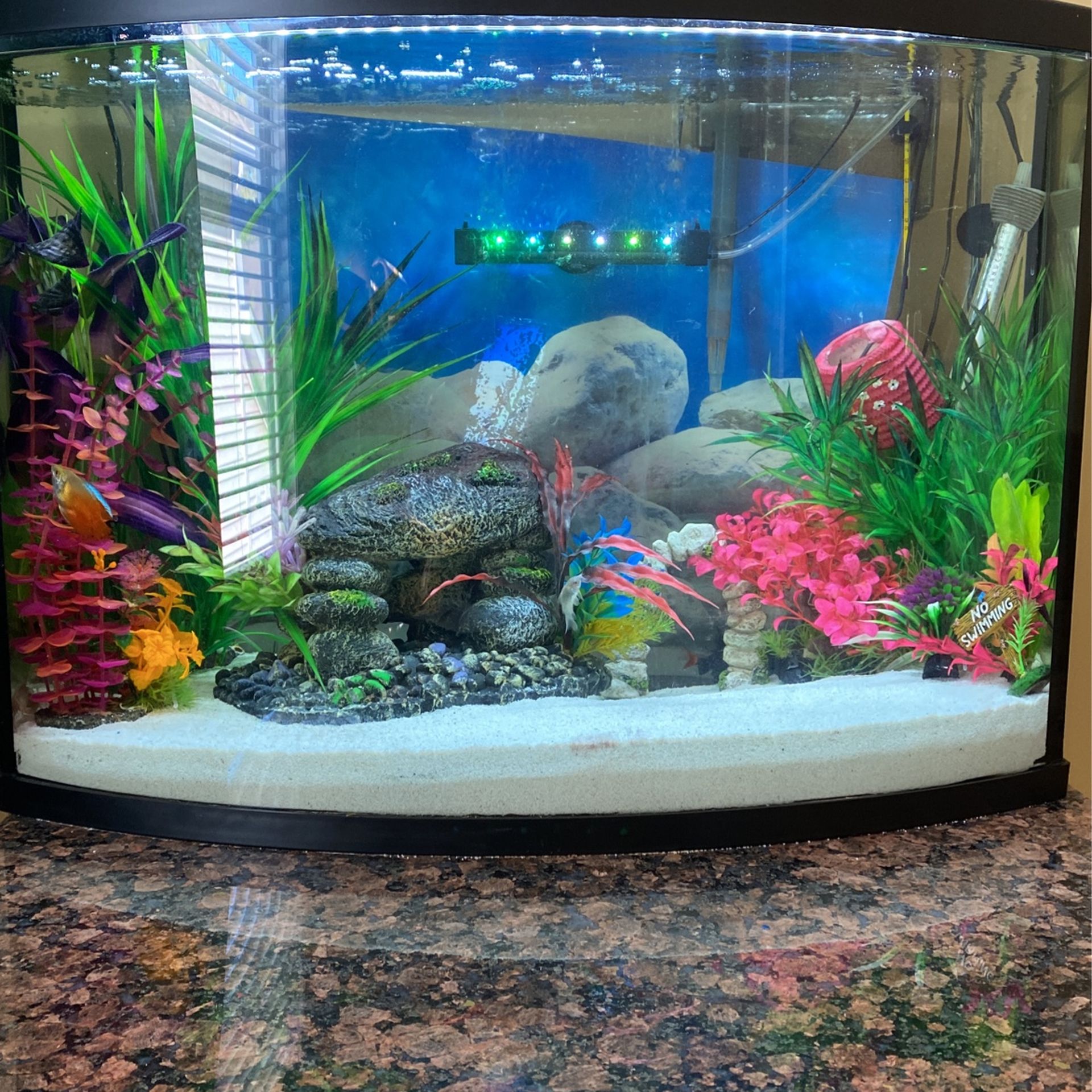 AQUARIUM & HOME DECOR