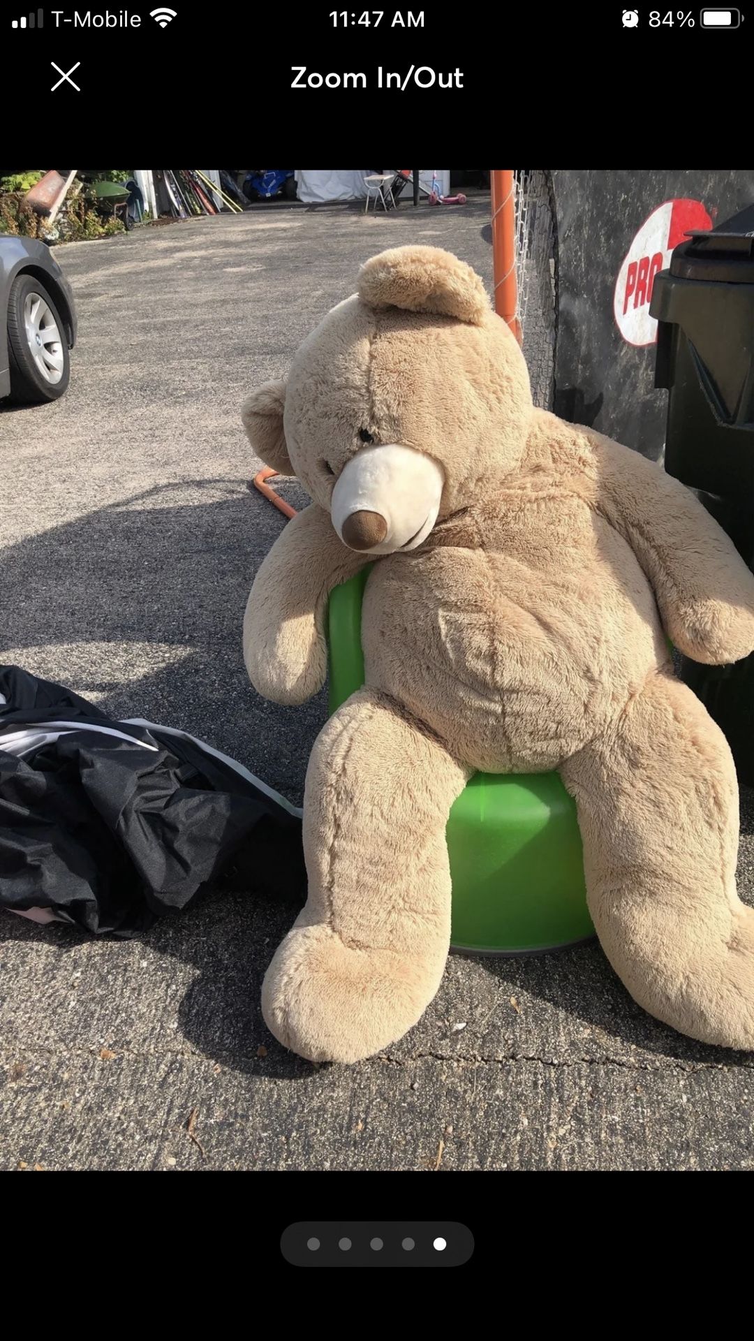 Giant 5ft Bear