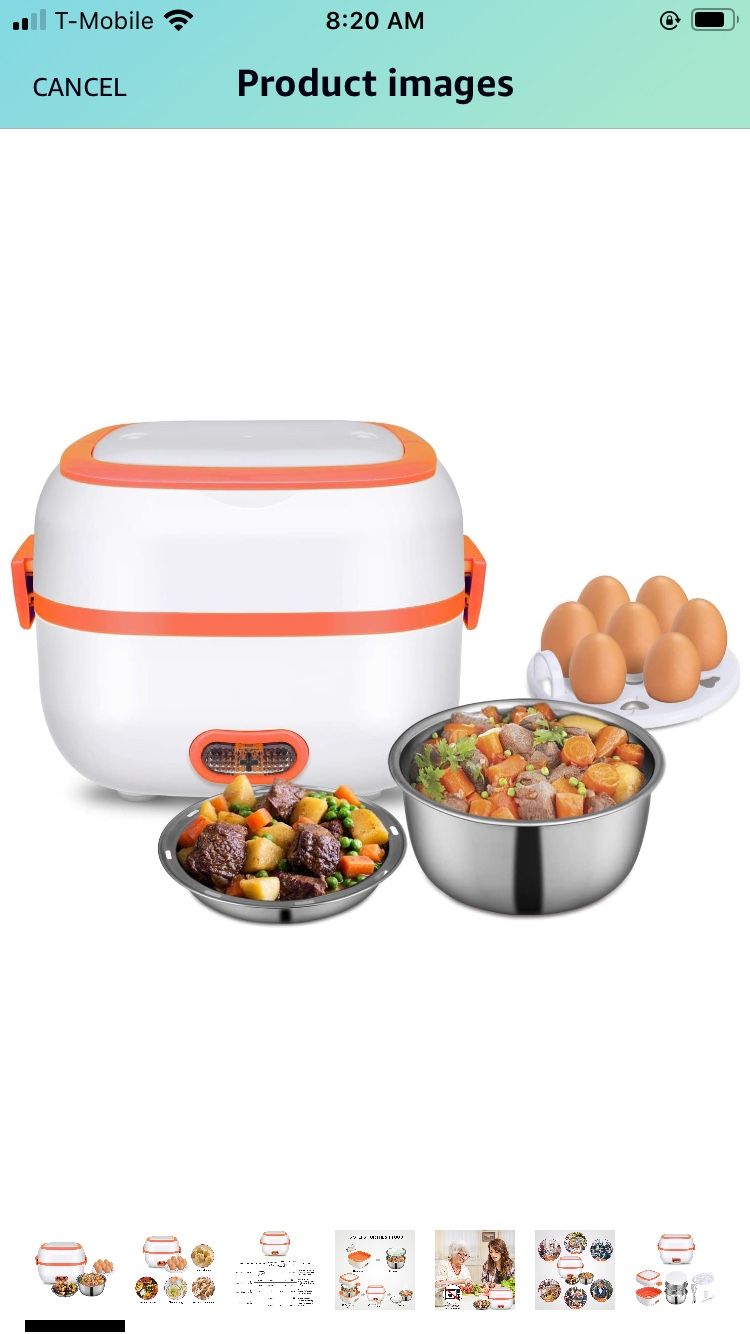 Electric lunch box