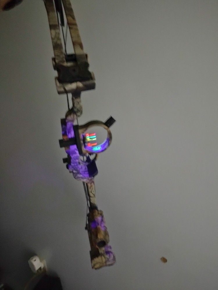 Compound Bow