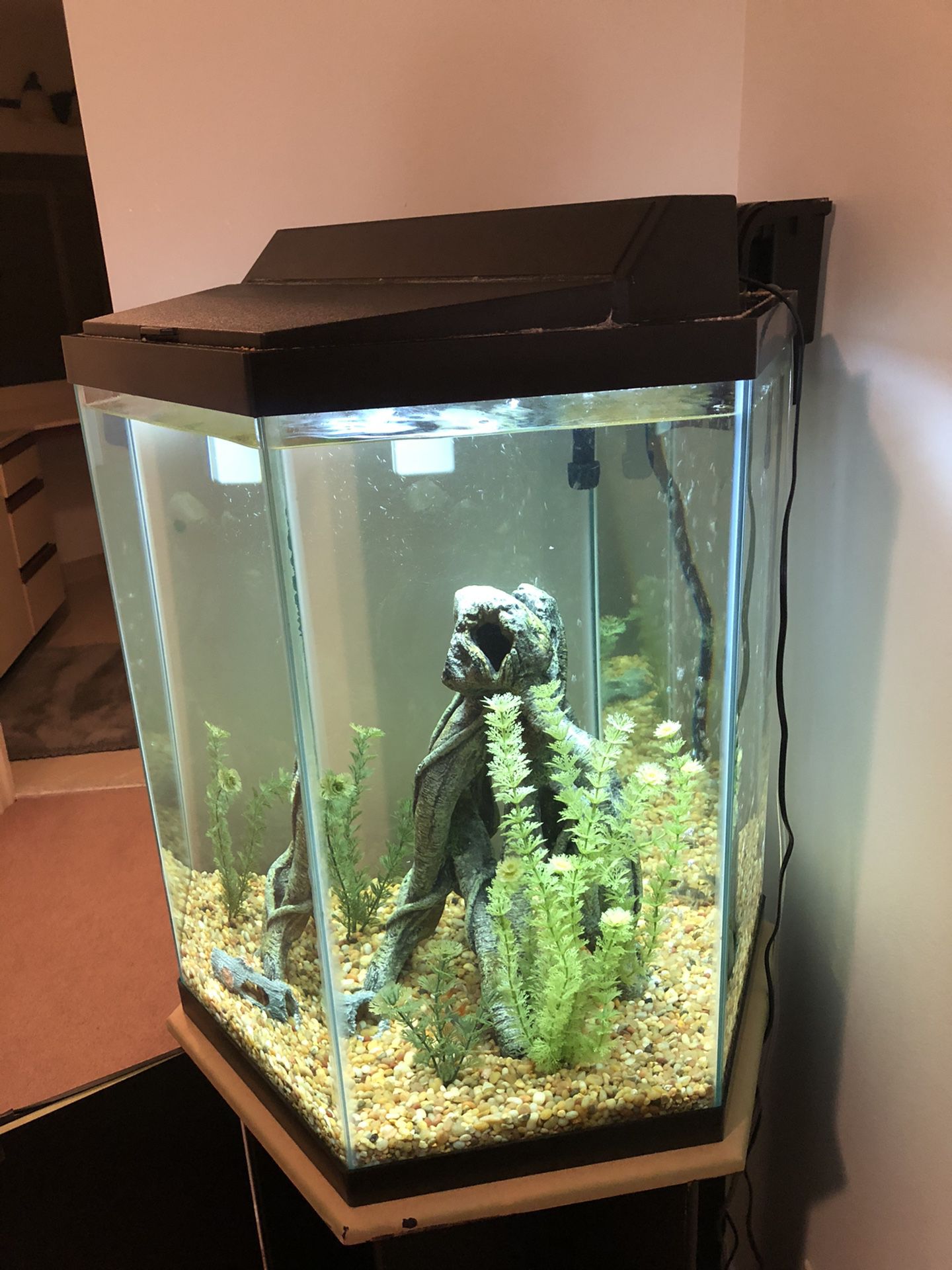 35 Gallon Hexagon Freshwater Fish Tank