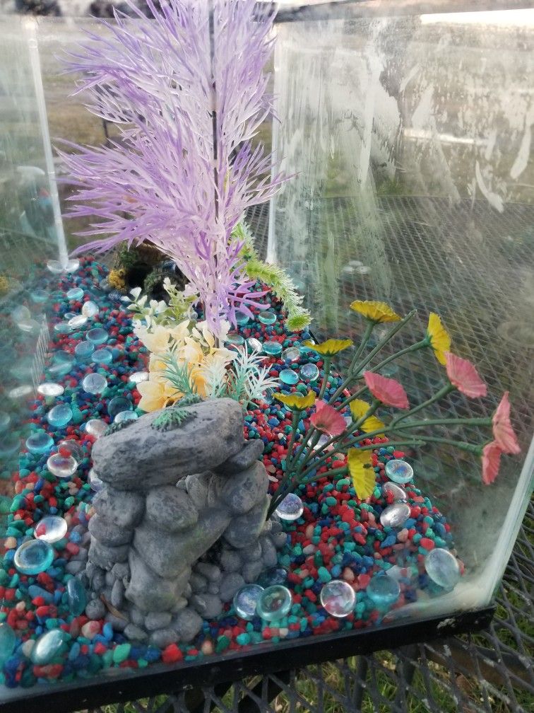 Fishtank 10 Gallon, With Decorations & Gravel