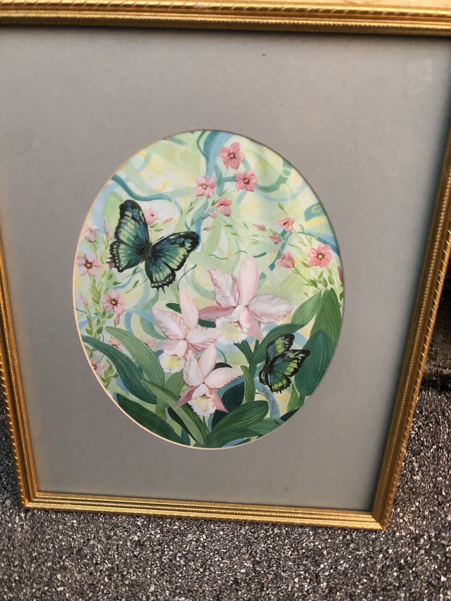 Beautiful butterfly framed picture