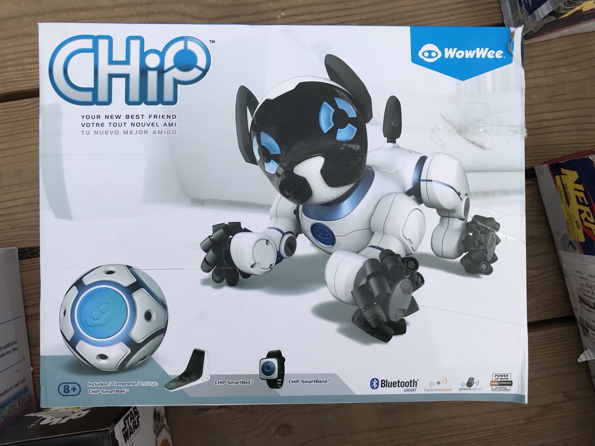 what can chip the robot dog do