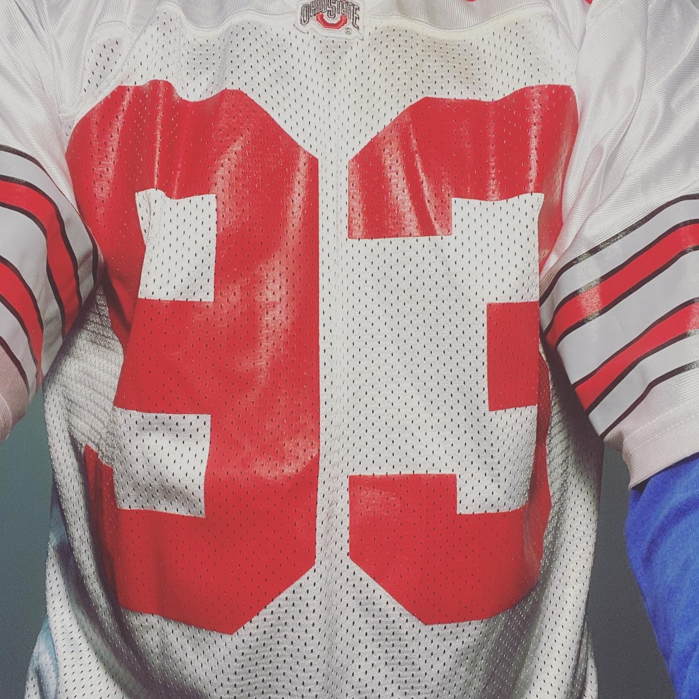 Nike Ohio State Jersey #93
