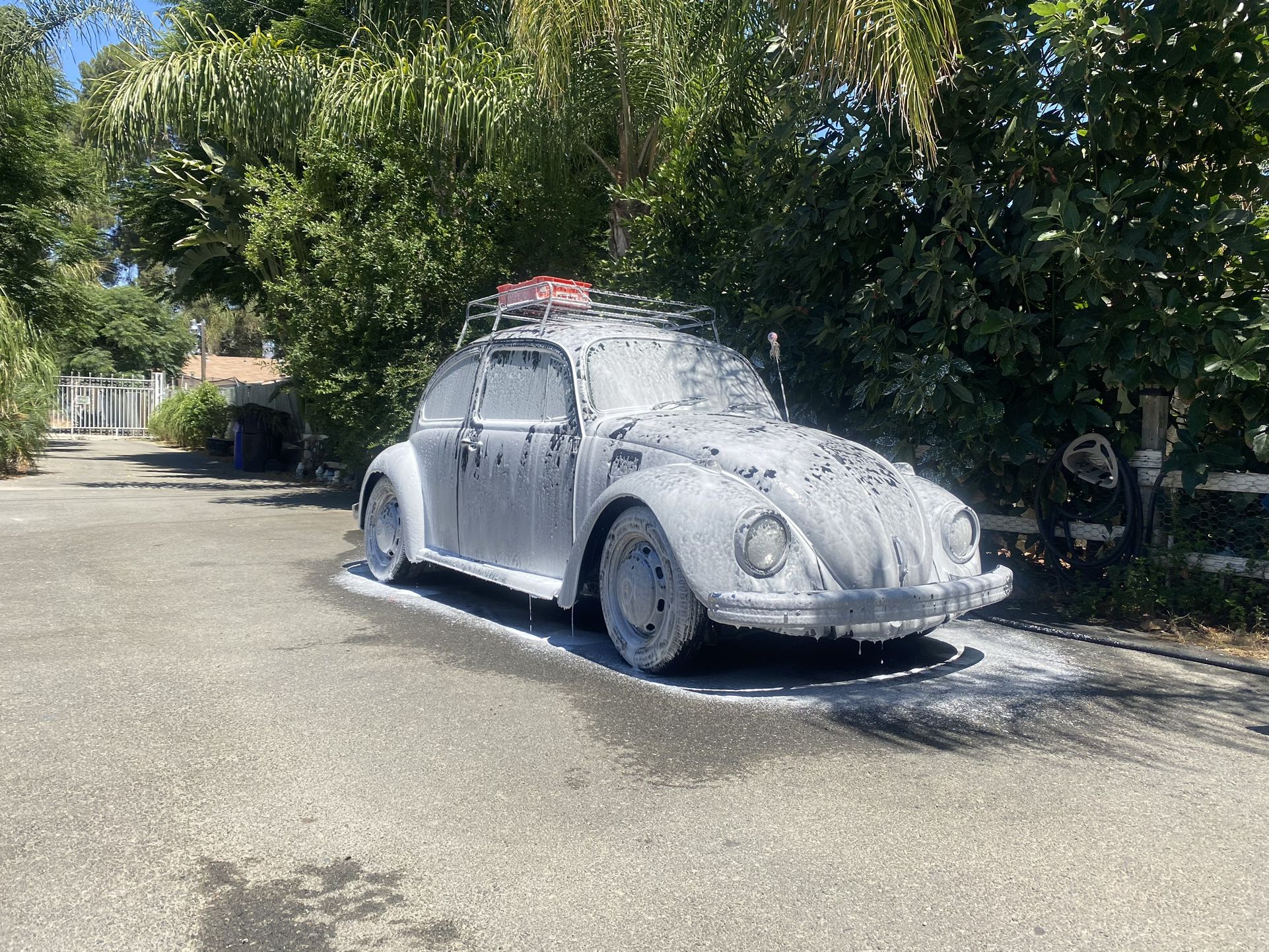 1968 Volkswagen 1600