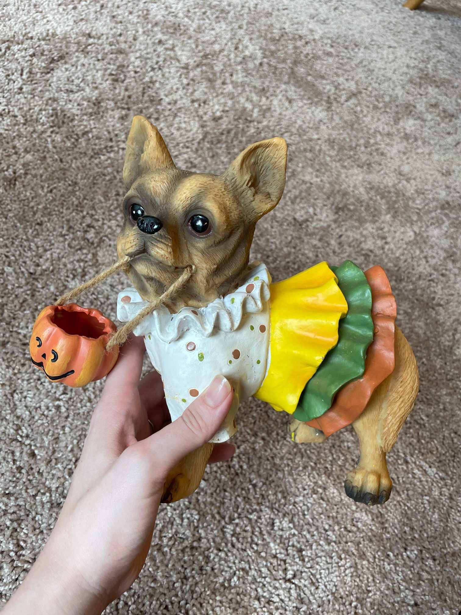 Halloween pumpkin and trick or treating dog decorations