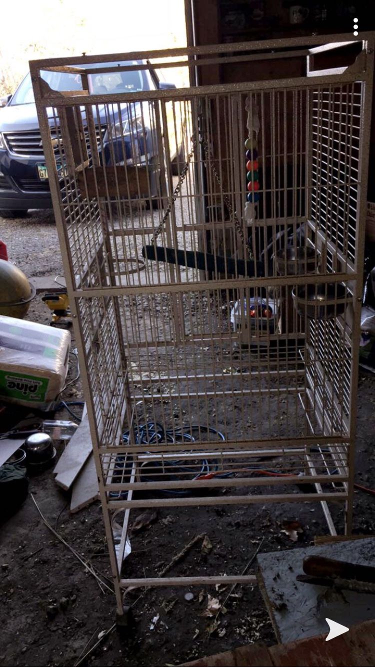 Huge nice bird cage with toys and food bowls we got the cage brand new for 500 hundred