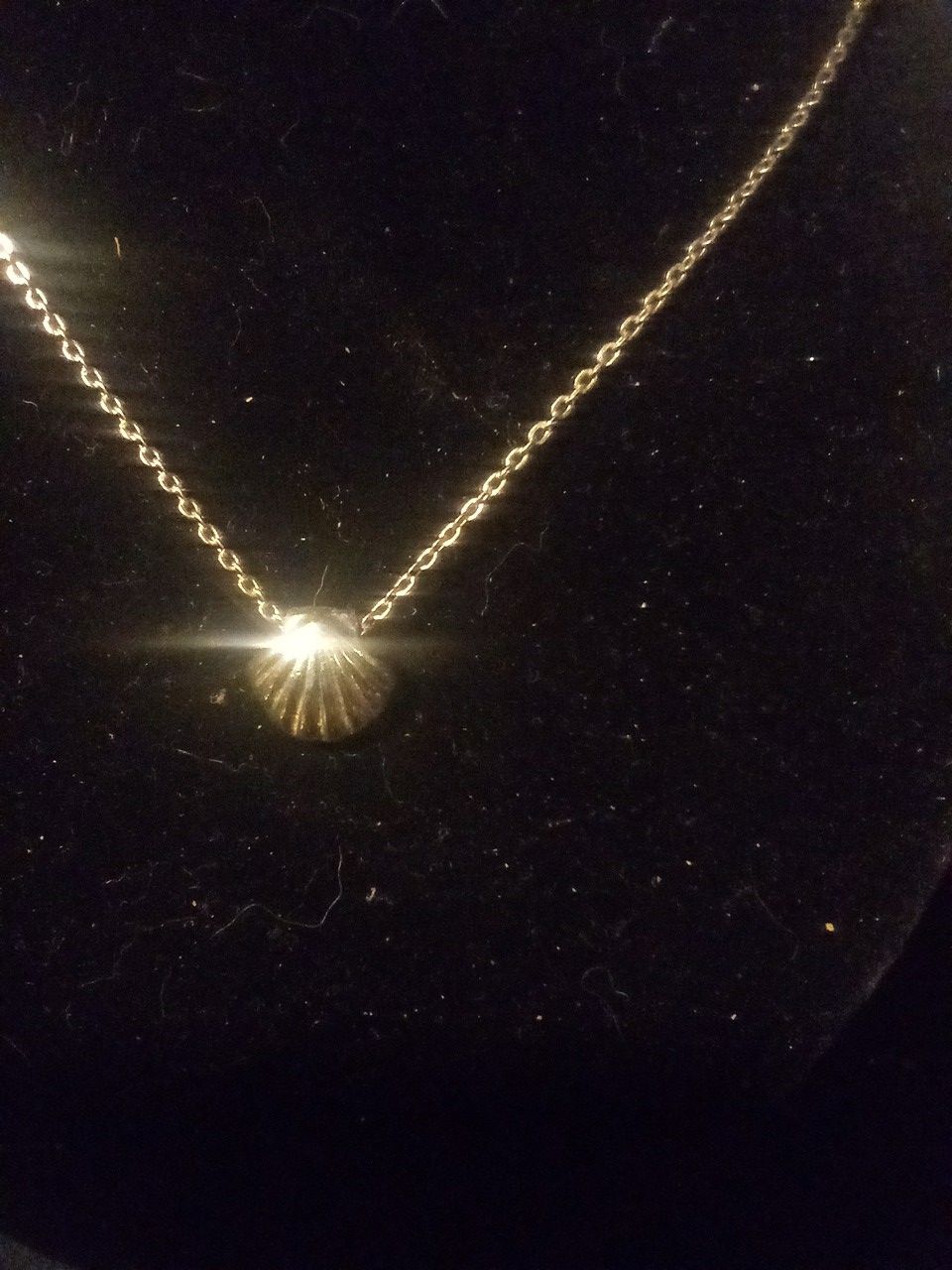 Shell pendant necklace