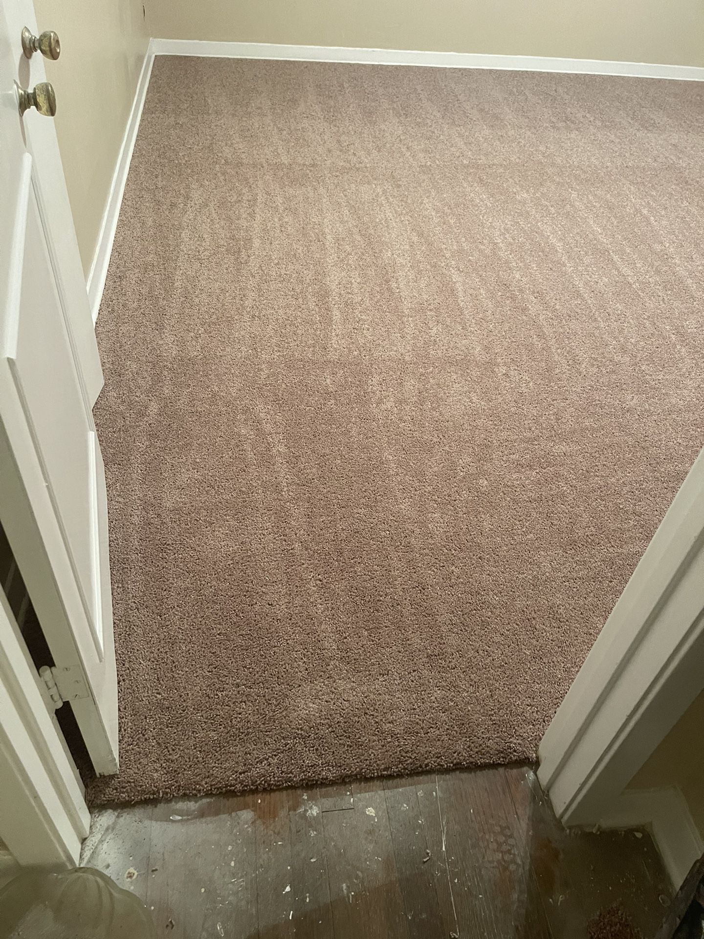 Carpet For Sale