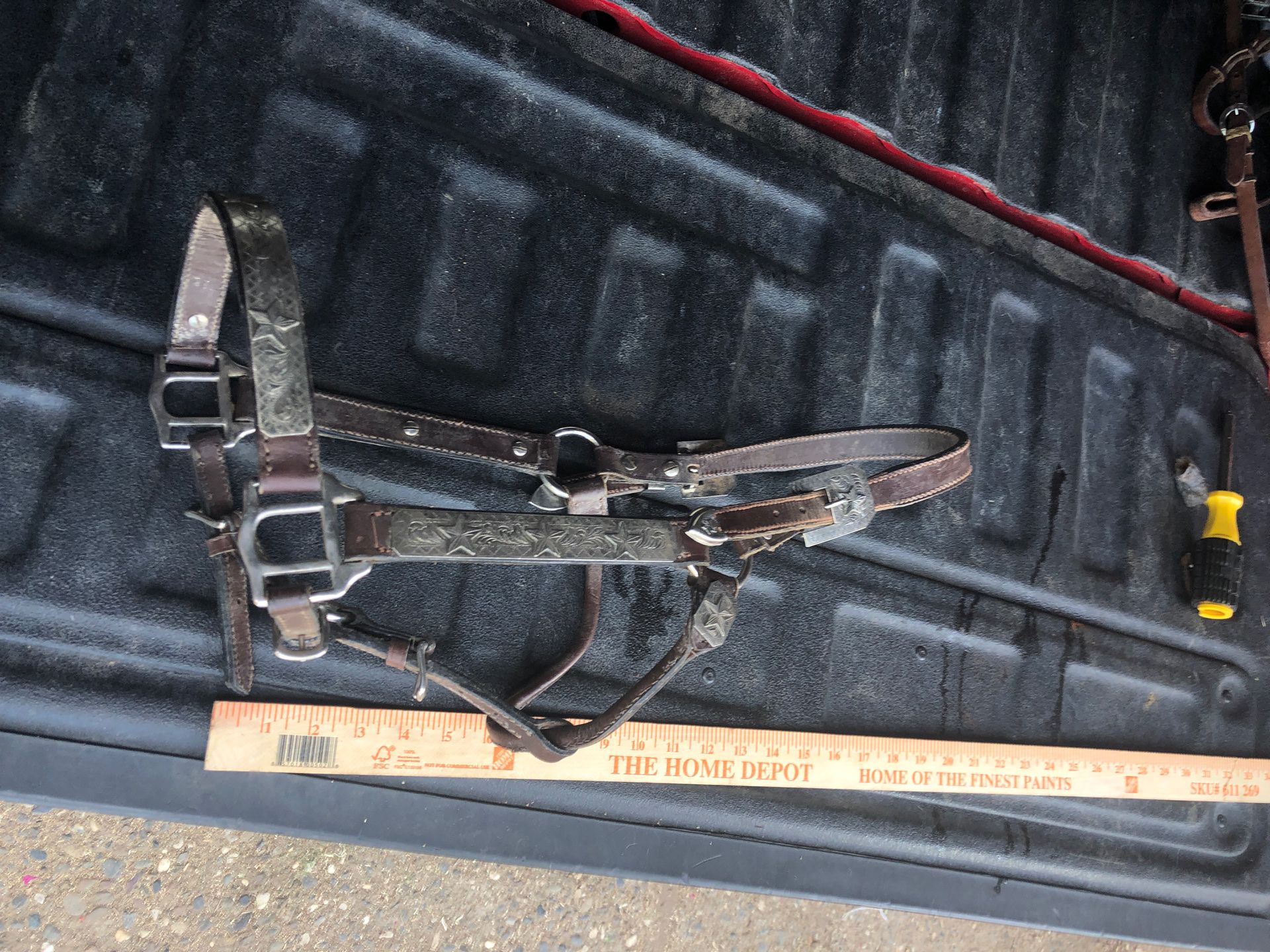 Leather Show Halter