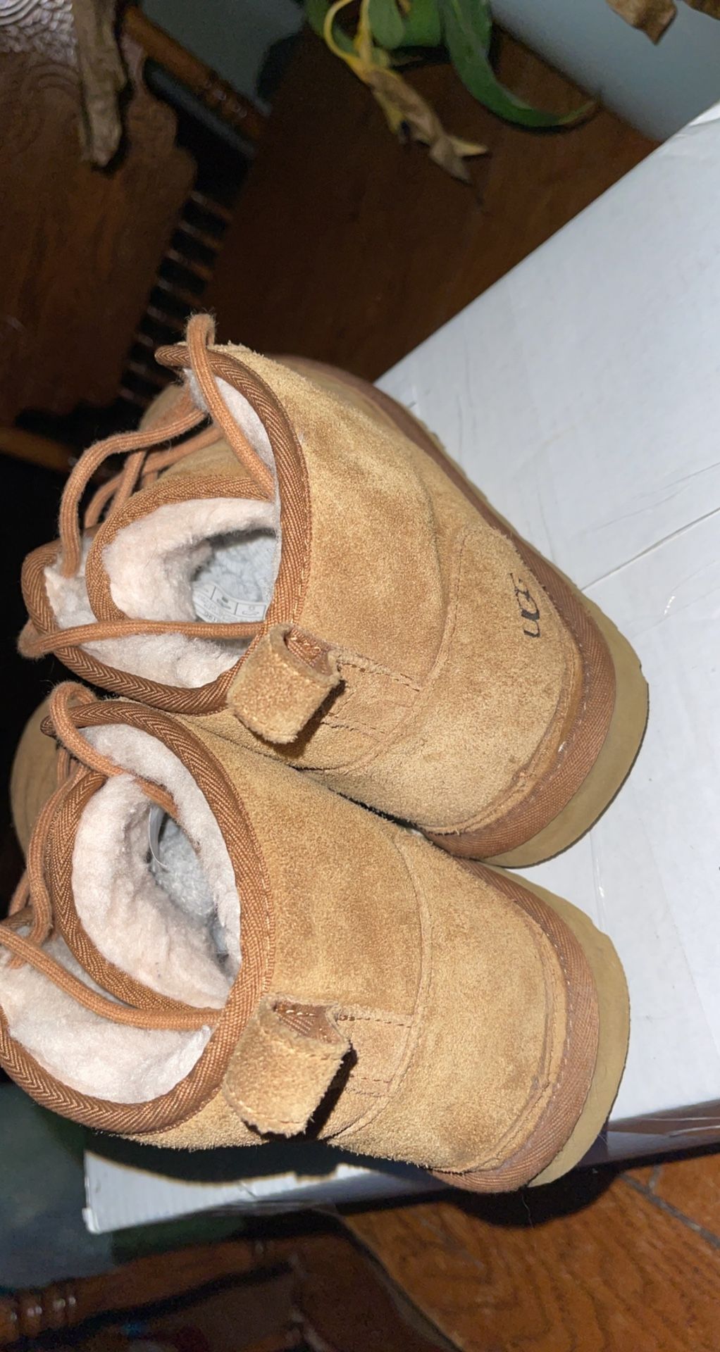 Ugg Men Boots
