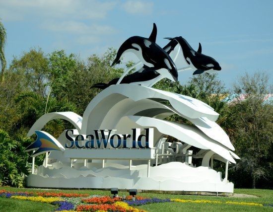 Seaworld, Busch Gardens, Aqautica